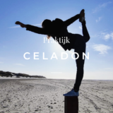 Praktijk Celadon