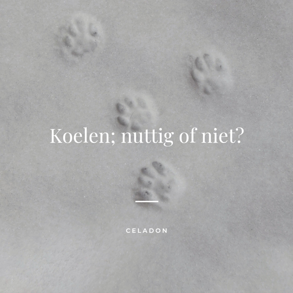 Koelen - Celadon
