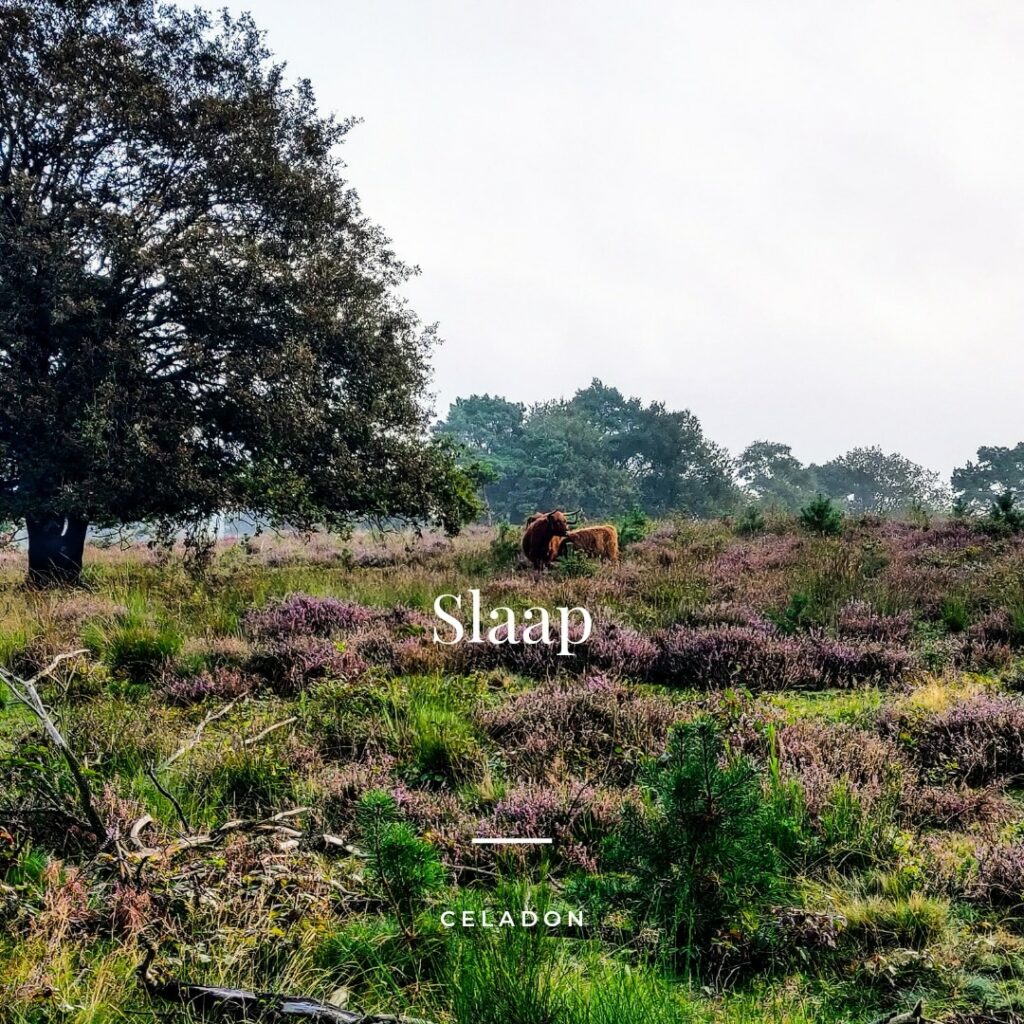 Slaap - Praktijk Celadon