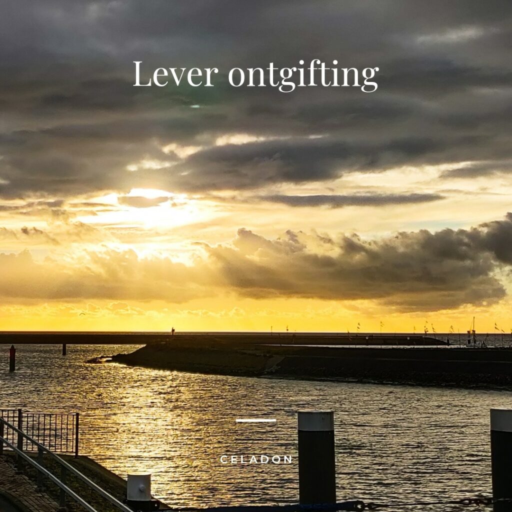 Lever ontgiften - Praktijk Celadon